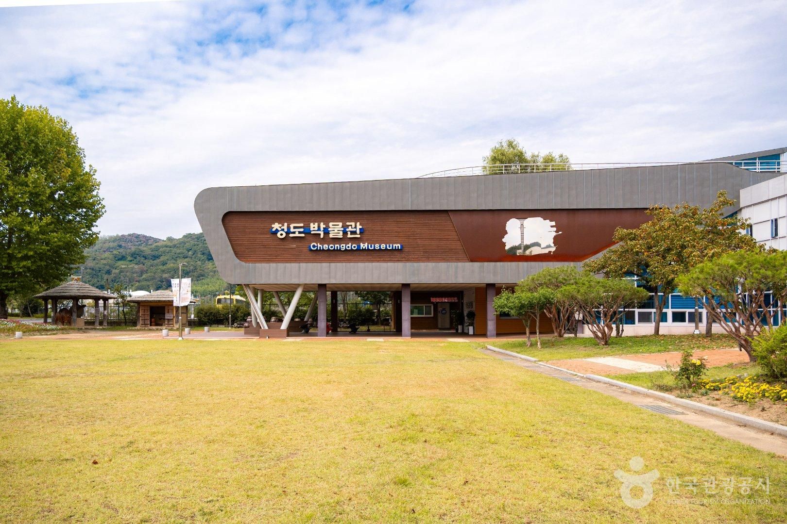 잔디밭 앞 '청도 박물관 Cheongdo Museum' 간판 건물 정면