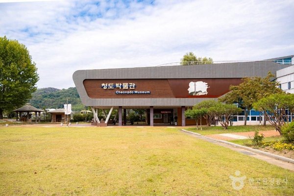 잔디밭 앞 '청도 박물관 Cheongdo Museum' 간판 건물 정면